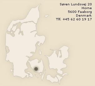 Lundsgaard map